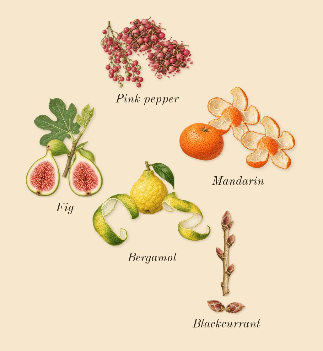 La Vie Est Belle Iris Absolu, top notes: Fig, Blackcurrant, Bergamot, Pink pepper, Mandarin