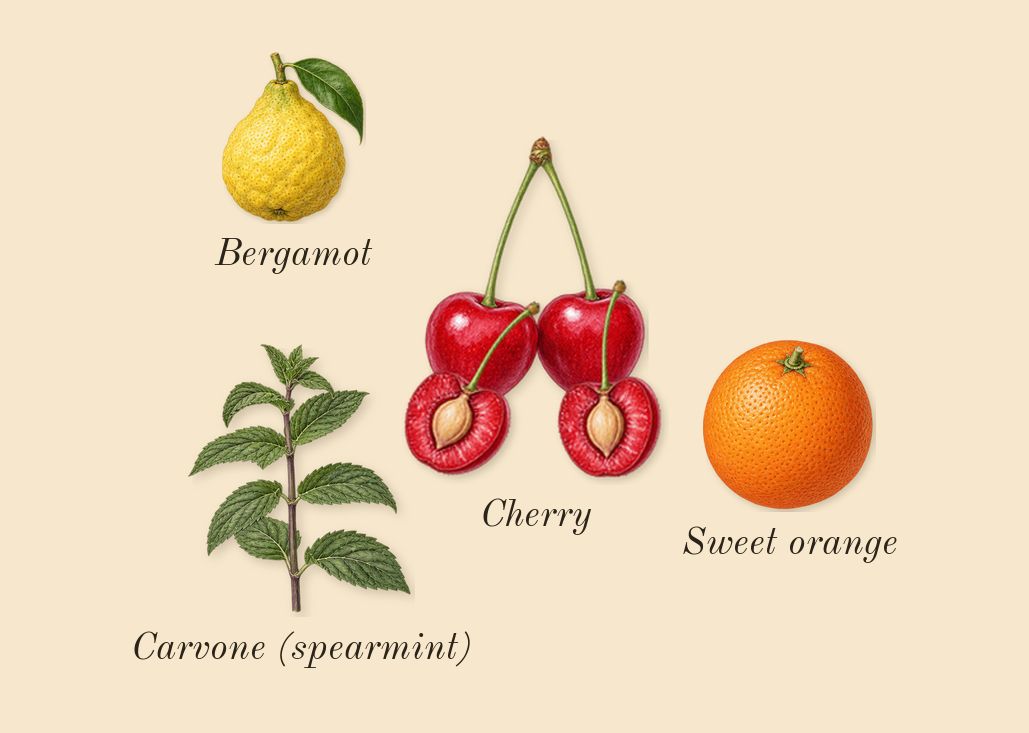 La Vie Est Belle L'Elixir Very Cherry, top notes: Cherry, Bergamot, Sweet orange, Carvone (spearmint)