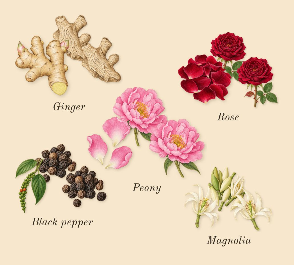 Miracle, heart: Peony, Rose, Magnolia, Black pepper, Ginger