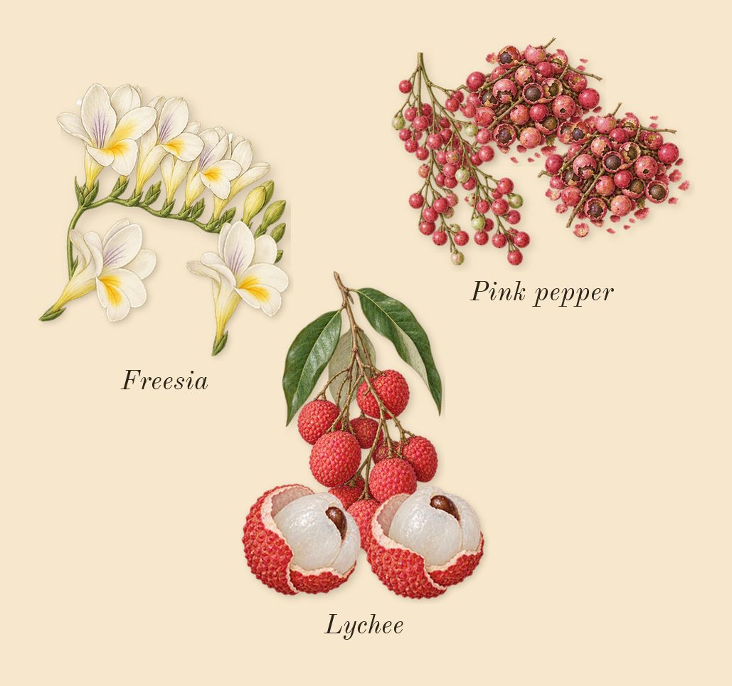 Miracle, top notes: Lychee, Freesia, Pink pepper