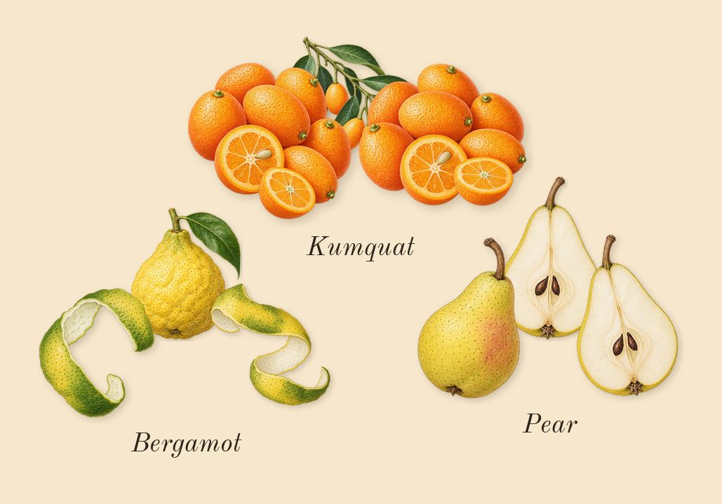 Ana Abiyedh Rouge, top notes: Pear, Kumquat, Bergamot