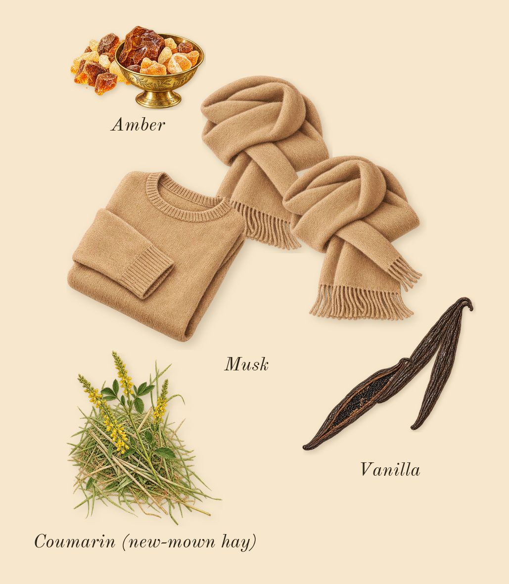 Angham, dry-down: Musk, Amber, Vanilla, Coumarin (new-mown hay)
