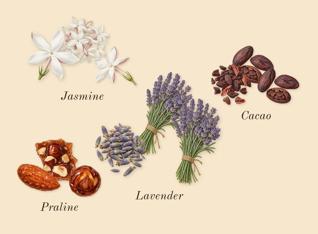Angham, heart: Praline, Lavender, Cacao, Jasmine