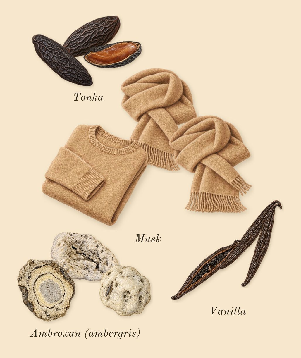 Angham Second Song, dry-down: Vanilla, Tonka, Ambroxan (ambergris), Musk