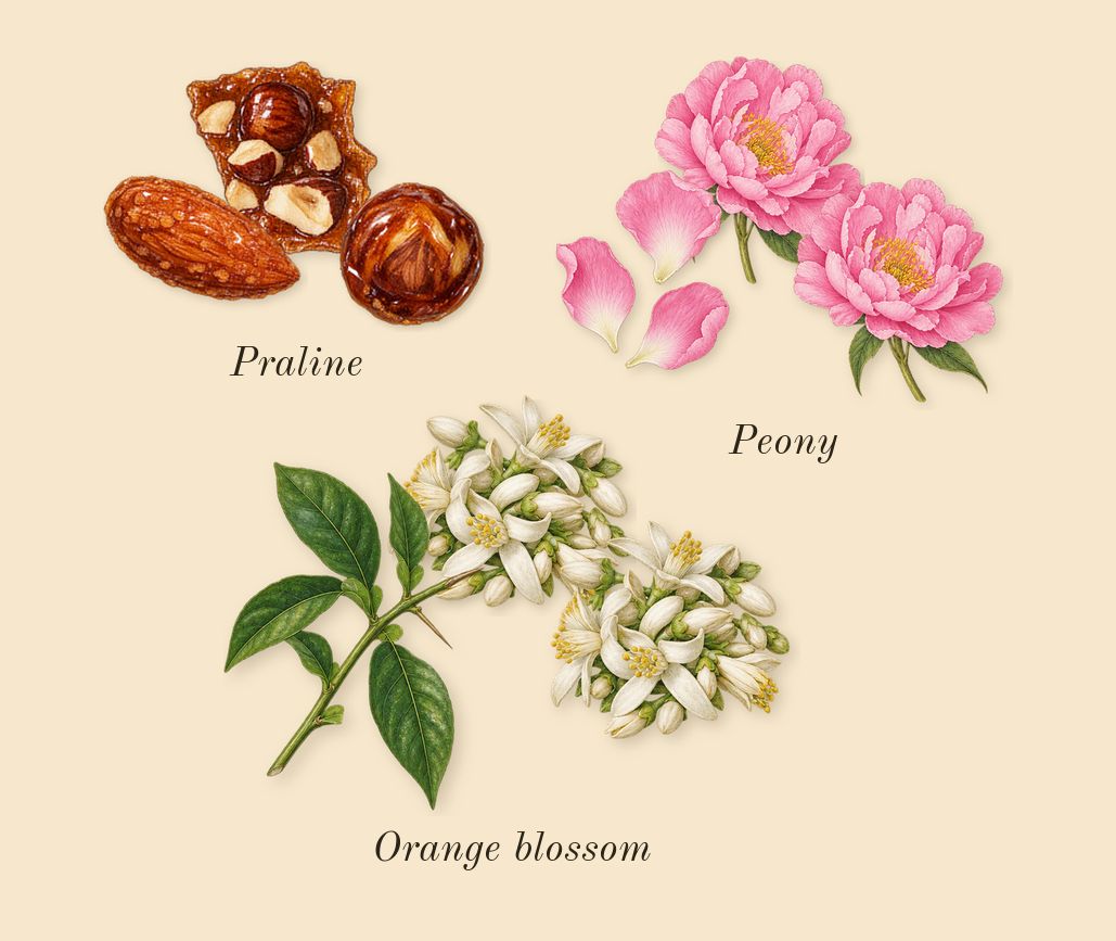 Angham Second Song, heart: Orange blossom, Peony, Praline