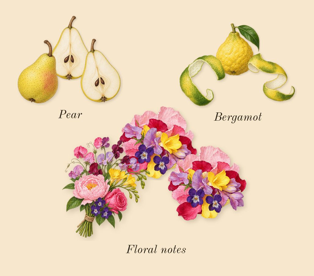 Angham Second Song, top notes: Bergamot, Pear, Floral notes
