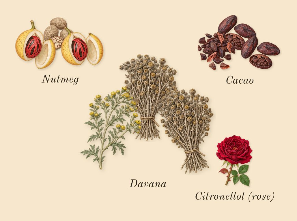 Asad Bourbon, heart: Cacao, Davana, Nutmeg, Citronellol (rose)