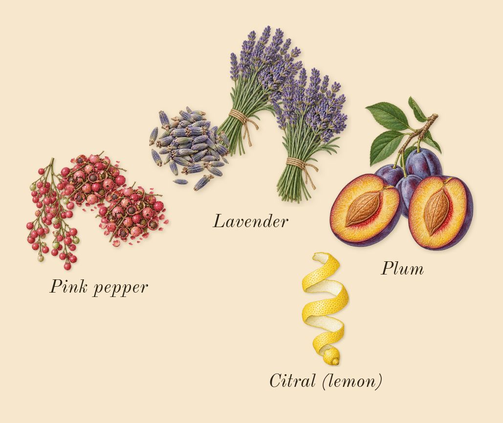 Asad Bourbon, top notes: Pink pepper, Lavender, Plum, Citral (lemon)