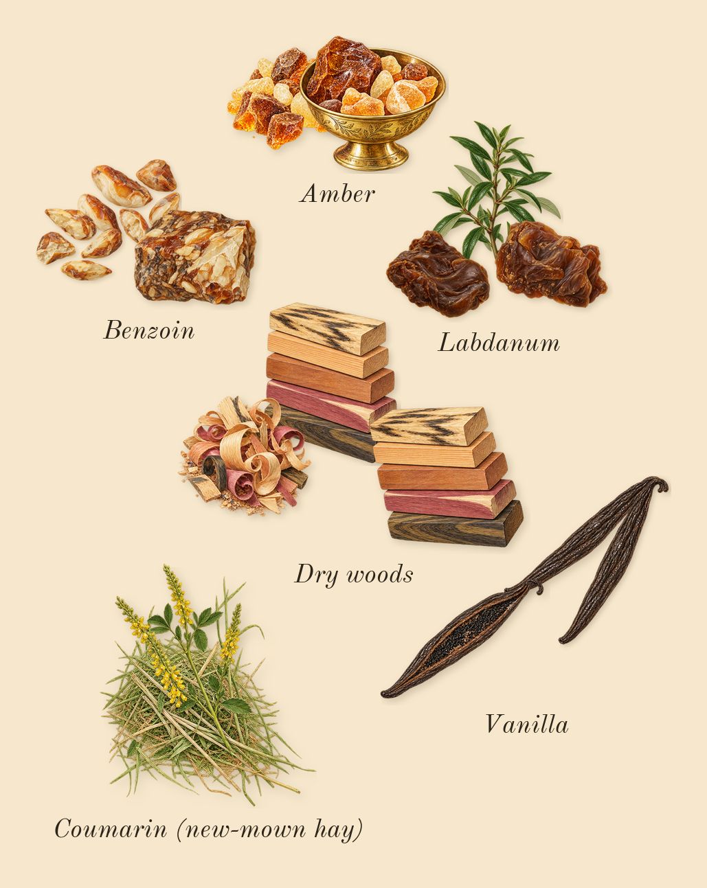 Asad, dry-down: Amber, Vanilla, Dry woods, Benzoin, Labdanum, Coumarin (new-mown hay)