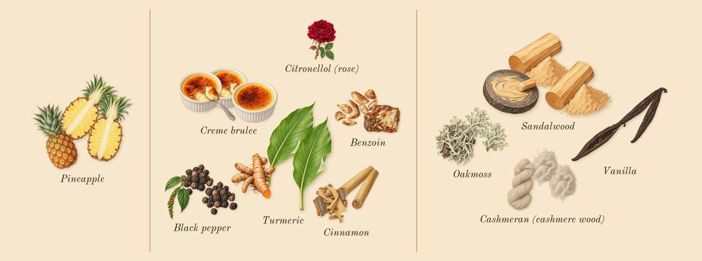 Bade'e Al Oud Honor & Glory’s scent picture, a draft: pineapple, turmeric, cinnamon, black pepper, benzoin, vanilla drawn so far; dashed outlines where nothing is drawn yet