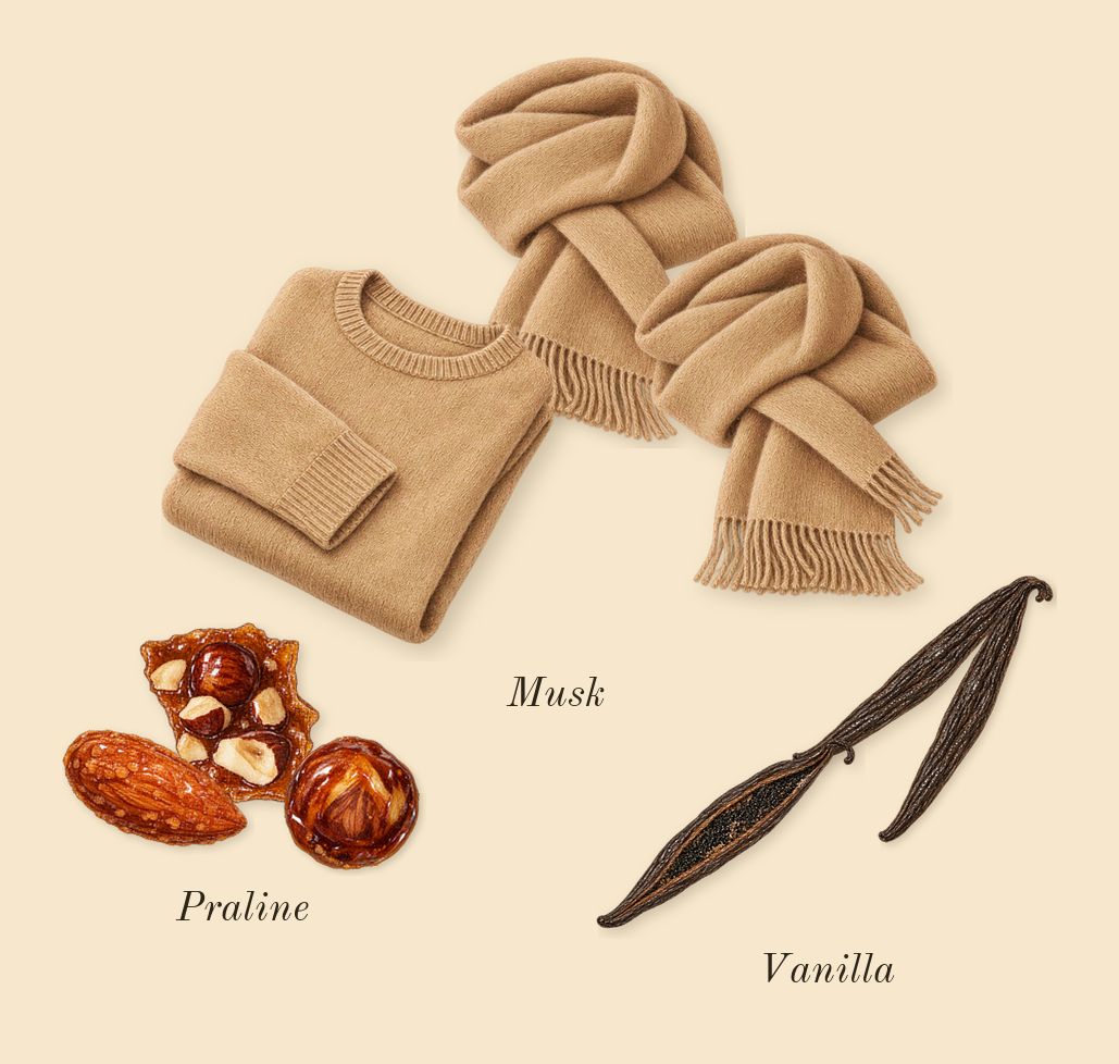 Eclaire, dry-down: Vanilla, Praline, Musk