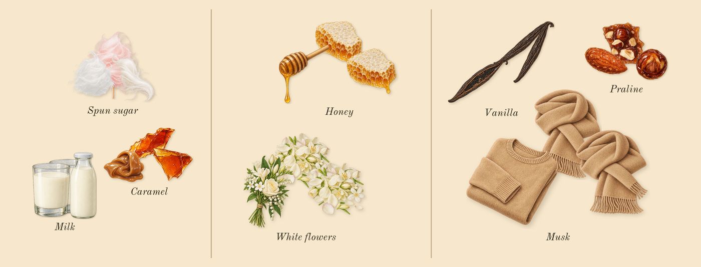 Eclaire’s scent picture, a draft: caramel, milk, spun sugar, white flowers, honey, vanilla drawn so far; dashed outlines where nothing is drawn yet