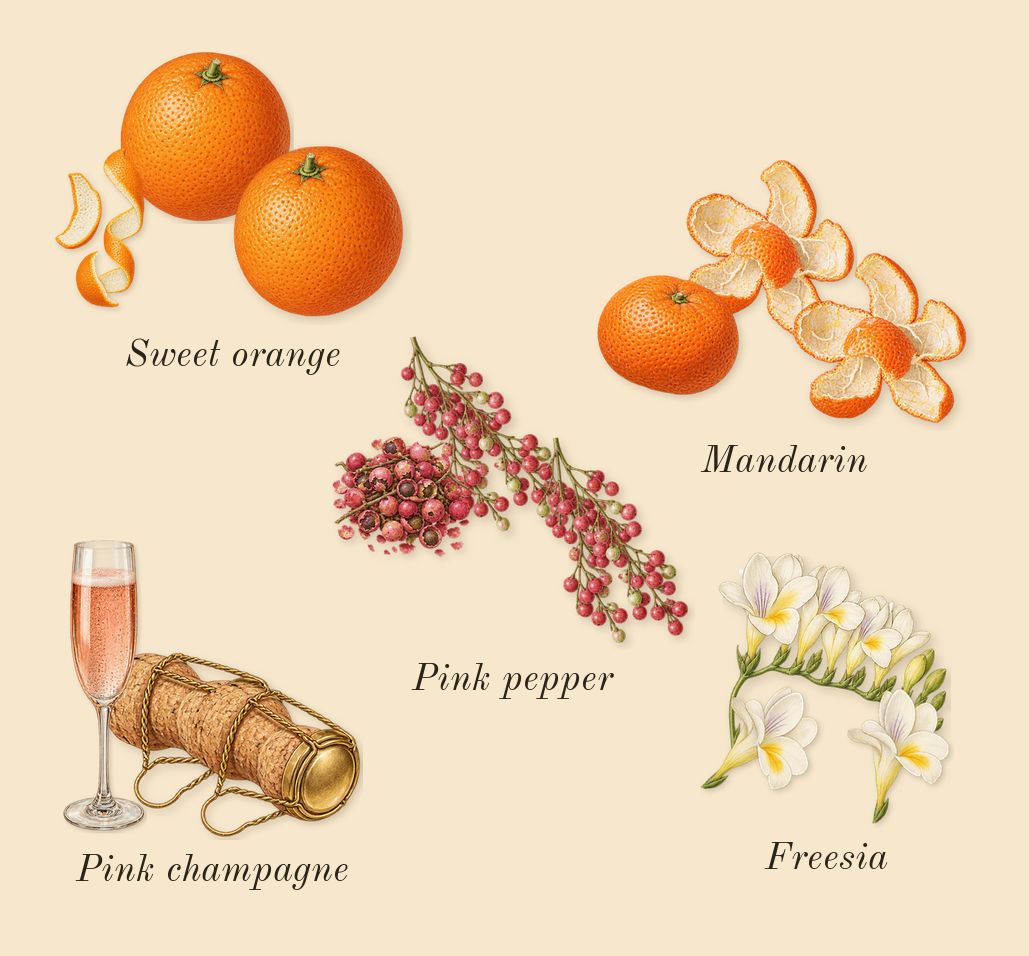 Haya, top notes: Pink champagne, Pink pepper, Sweet orange, Mandarin, Freesia