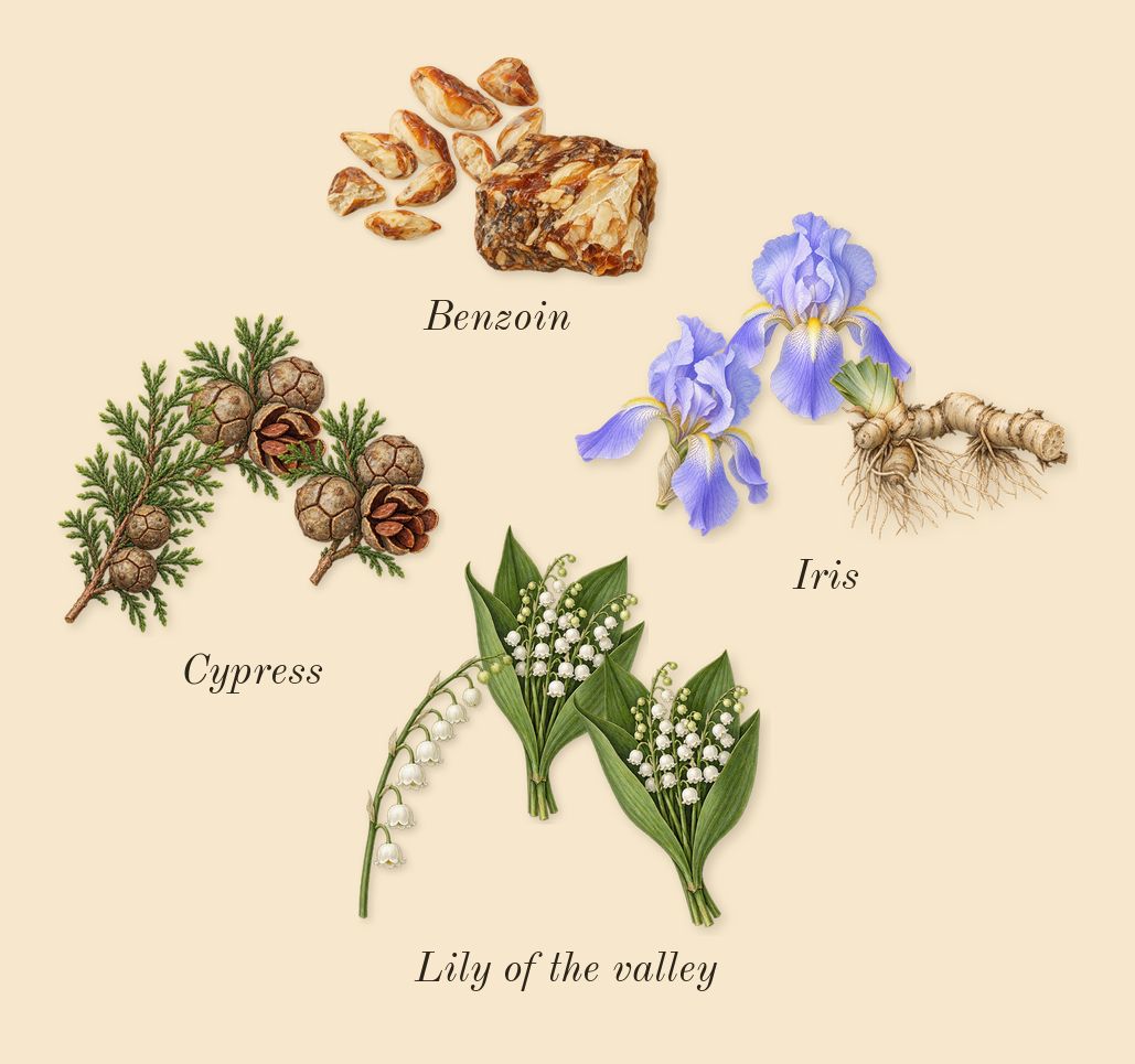 His Confession, heart: Iris, Cypress, Benzoin, Lily of the valley