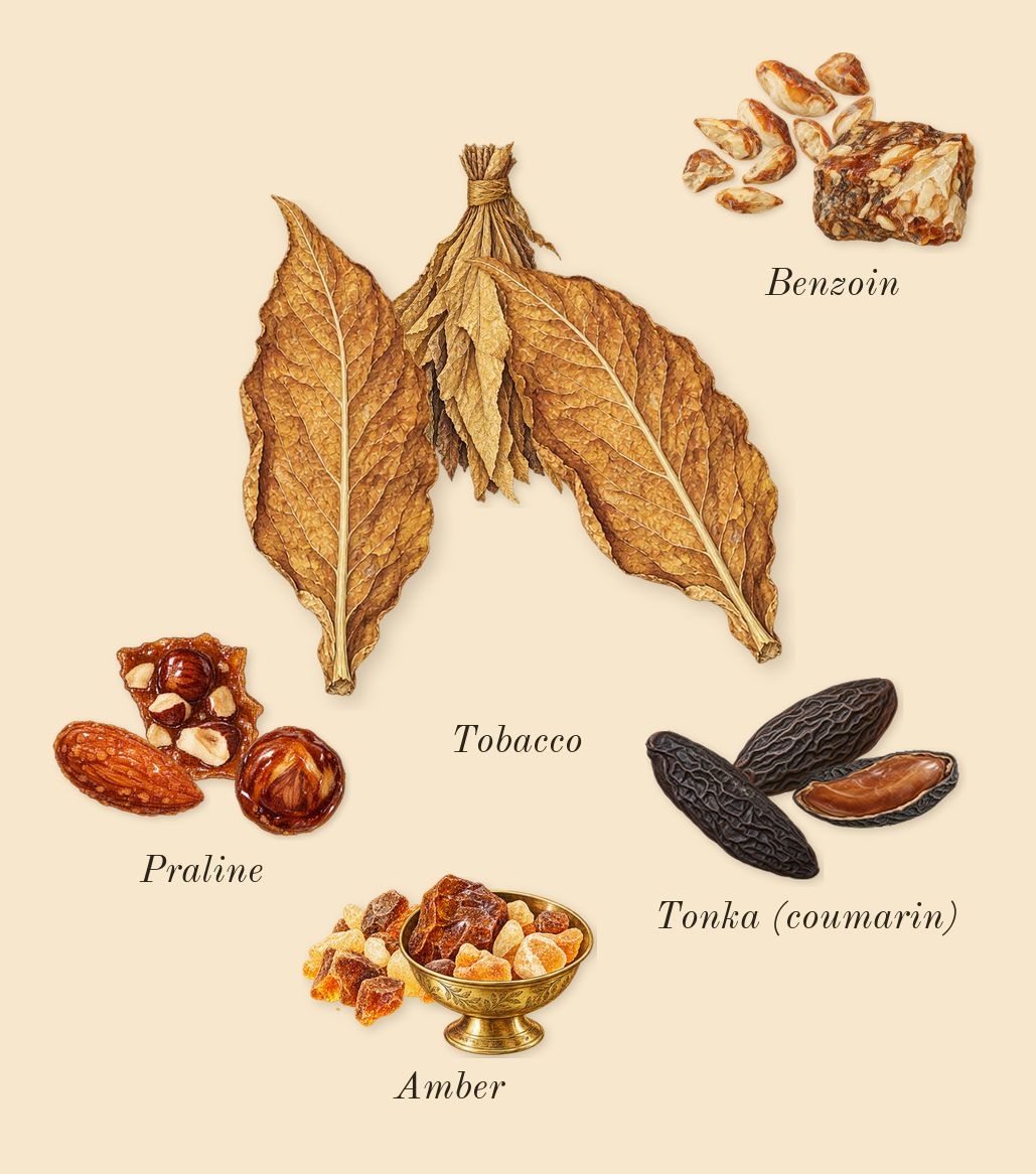 Khamrah Dukhan, dry-down: Tobacco, Praline, Amber, Tonka (coumarin), Benzoin