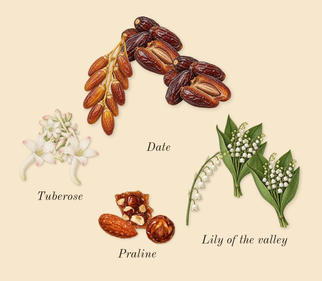 Khamrah, heart: Date, Lily of the valley, Praline, Tuberose