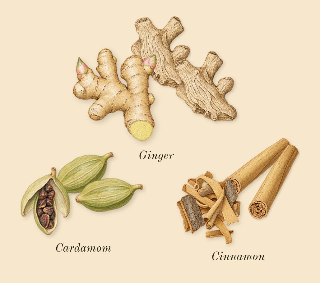 Khamrah Qahwa, top notes: Ginger, Cinnamon, Cardamom