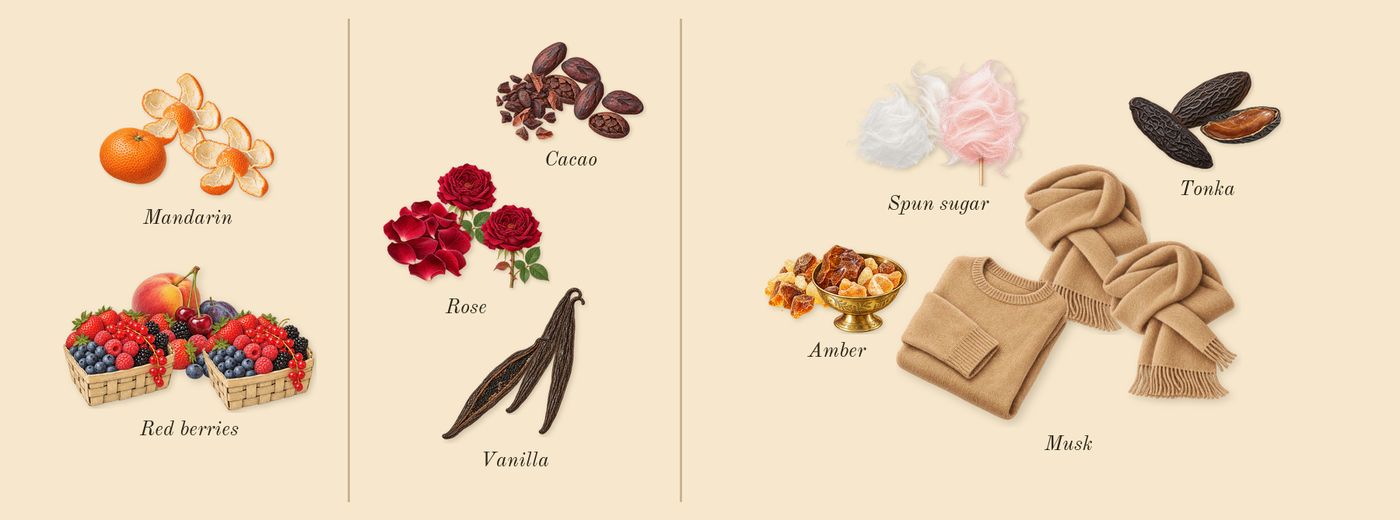 Nebras’s scent picture, a draft: red berries, mandarin, vanilla, cacao, rose, tonka drawn so far; dashed outlines where nothing is drawn yet