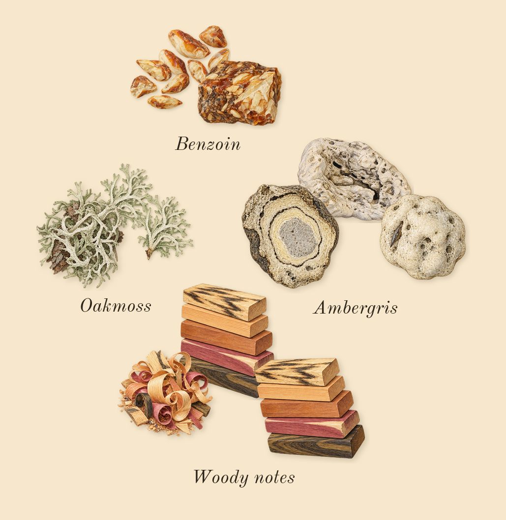 Opulent Dubai, dry-down: Ambergris, Woody notes, Oakmoss, Benzoin