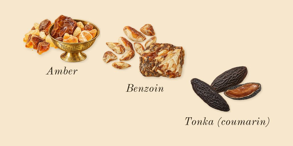 Teriaq Intense, dry-down: Tonka (coumarin), Amber, Benzoin