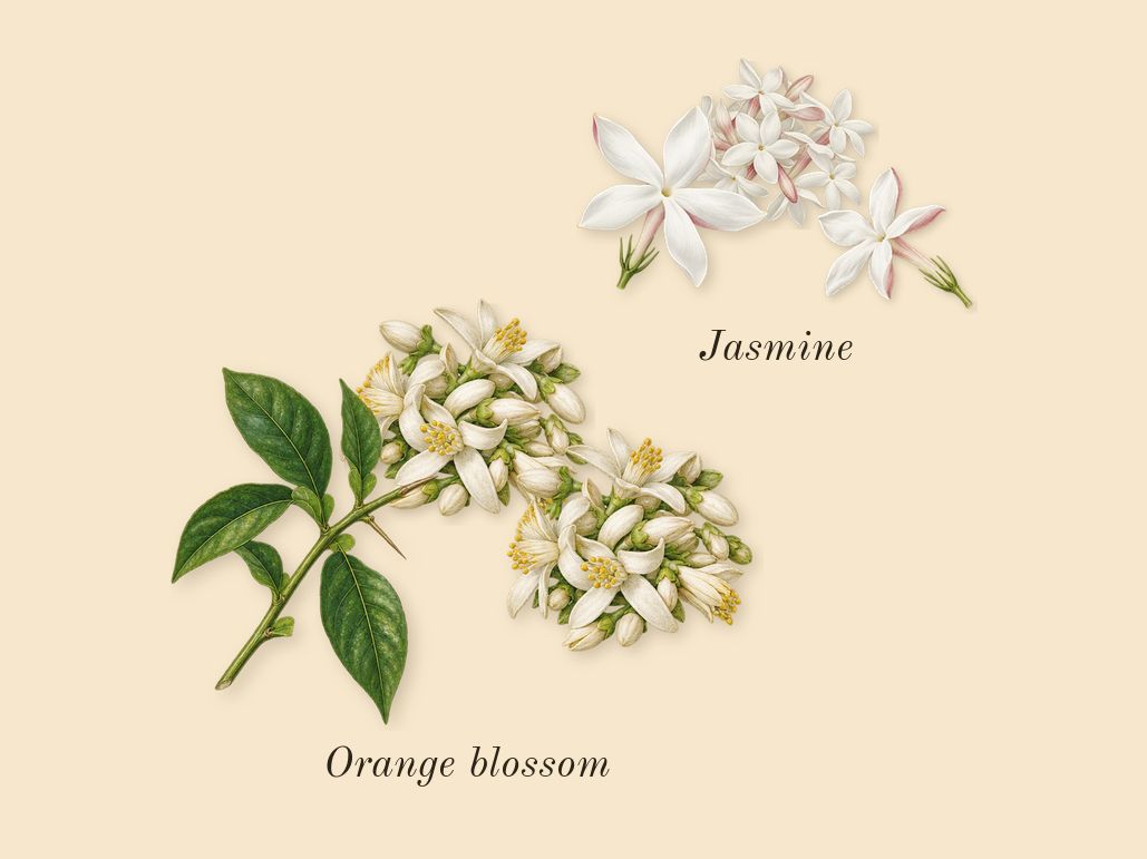 Tharwah Gold, heart: Orange blossom, Jasmine