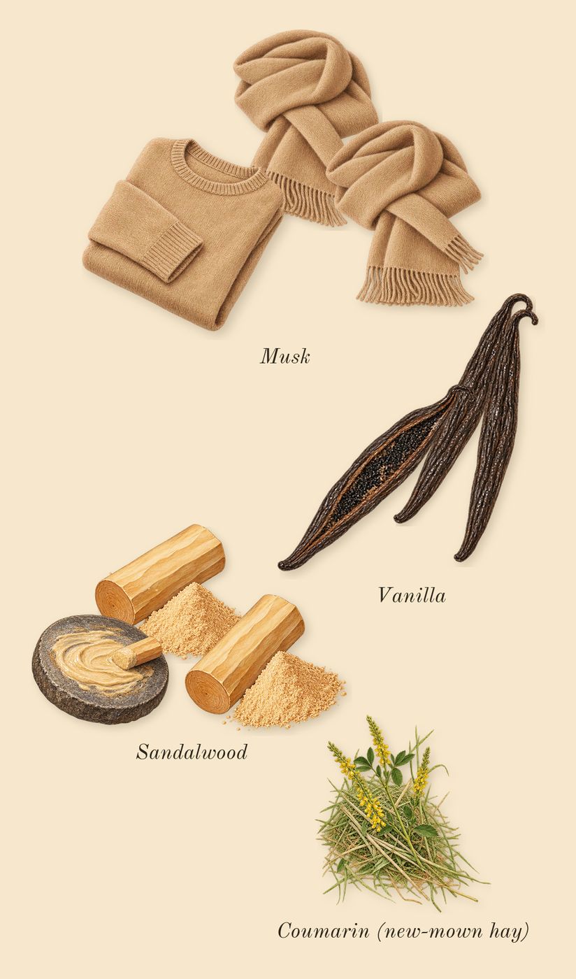 Yara, dry-down: Vanilla, Sandalwood, Musk, Coumarin (new-mown hay)