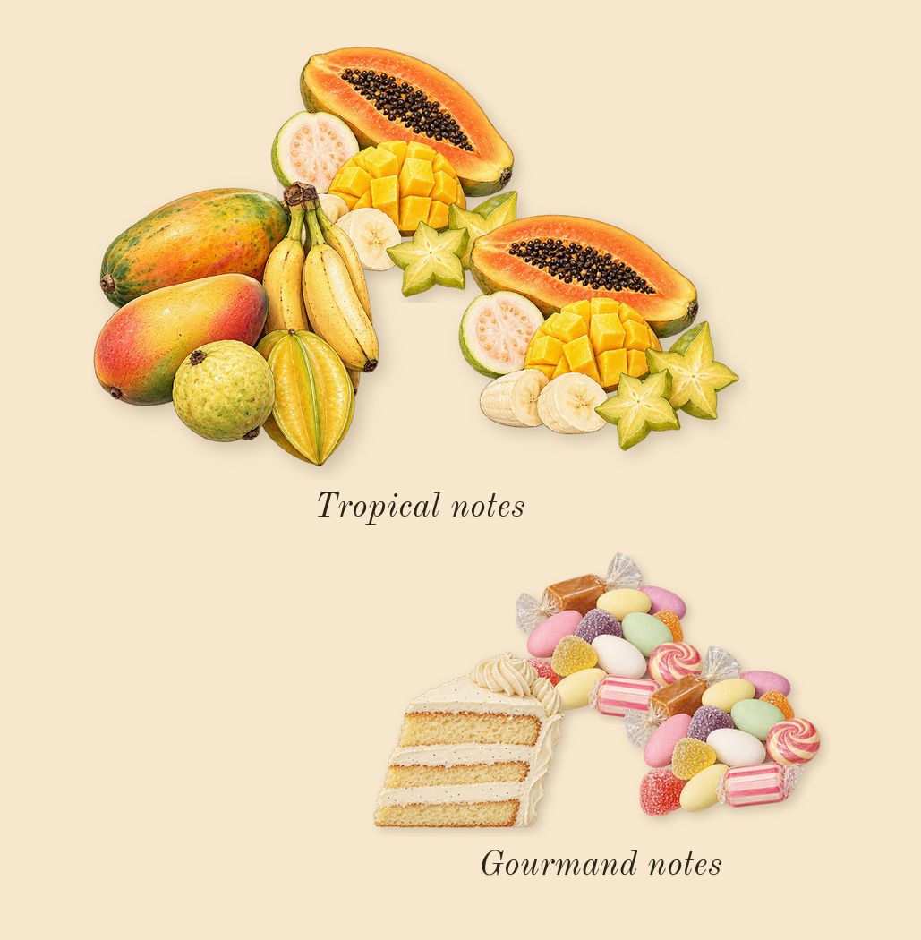Yara, heart: Tropical notes, Gourmand notes