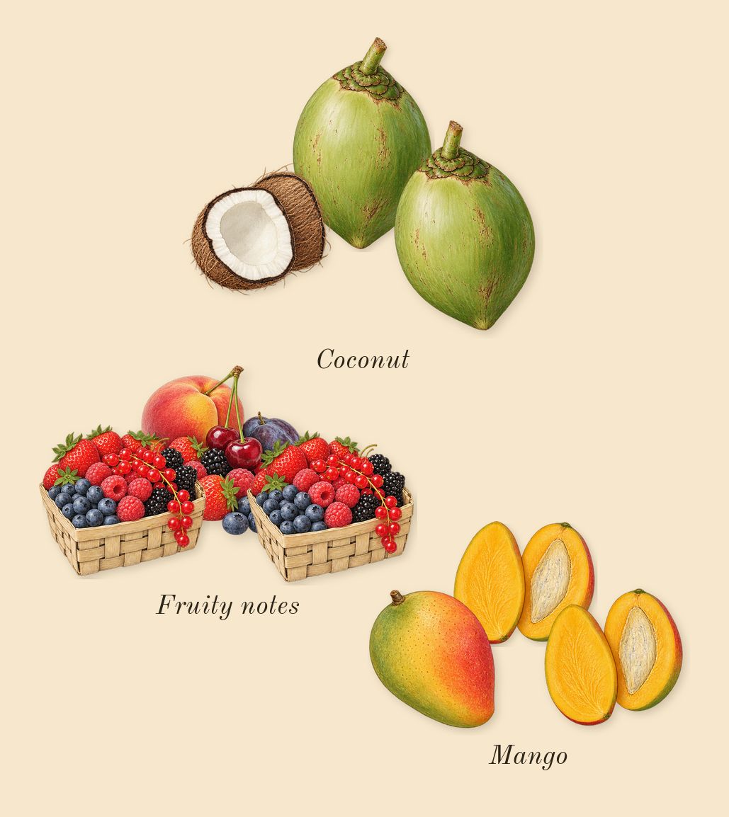 Yara Tous, top notes: Coconut, Mango, Fruity notes