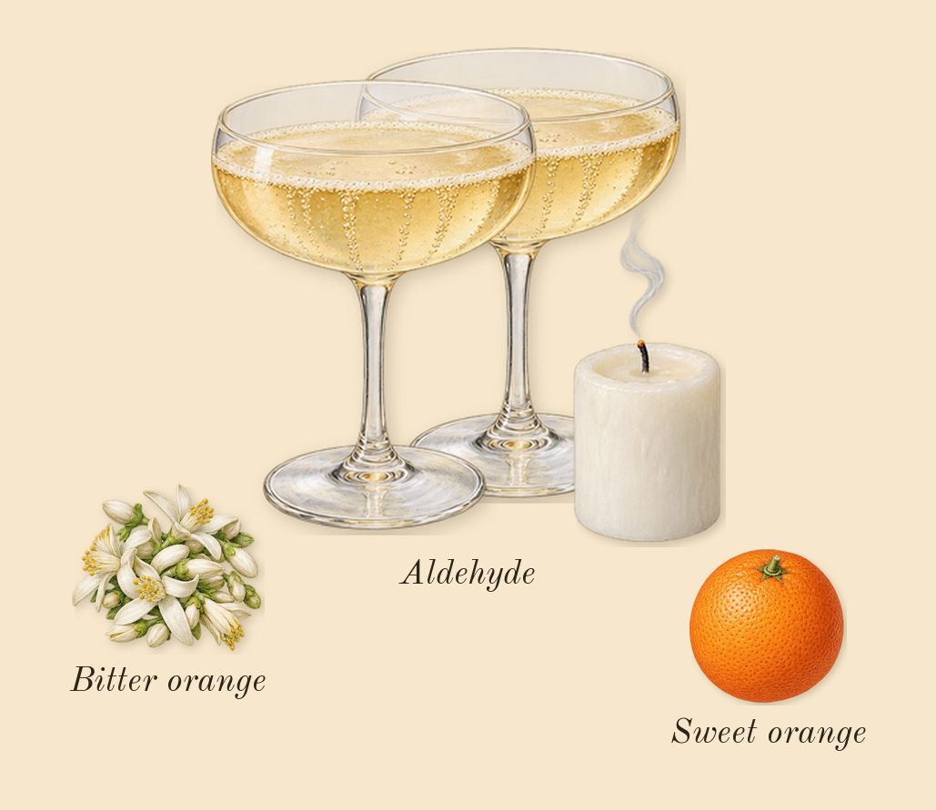 Aldehyde 44, top notes: Aldehyde, Sweet orange, Bitter orange