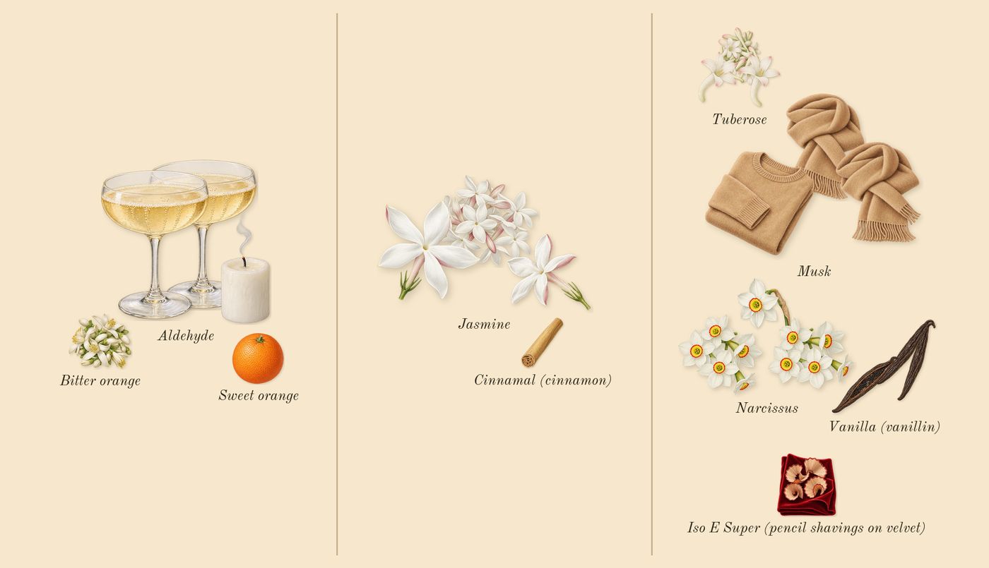 Aldehyde 44’s scent picture, a draft: aldehyde, narcissus, jasmine, tuberose, musk, vanilla (vanillin) drawn so far; dashed outlines where nothing is drawn yet