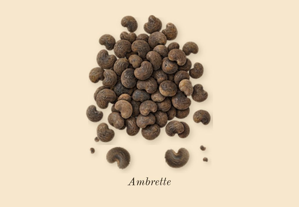 Ambrette 9, dry-down: Ambrette