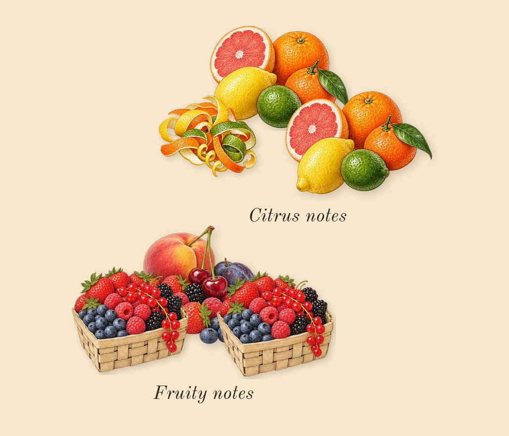 Ambrette 9, top notes: Citrus notes, Fruity notes