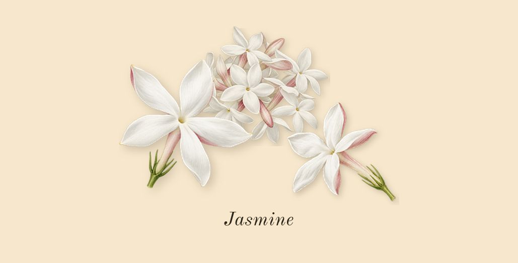 Another 13, heart: Jasmine