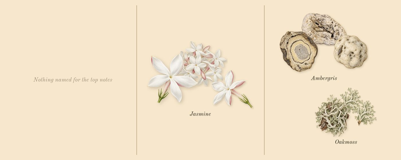 Another 13’s scent picture, a draft: ambergris, jasmine, oakmoss drawn so far; dashed outlines where nothing is drawn yet