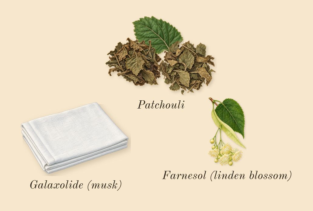 Baie 19, dry-down: Patchouli, Galaxolide (musk), Farnesol (linden blossom)