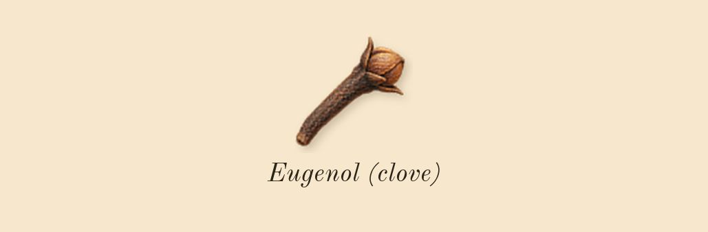 Baie 19, heart: Eugenol (clove)