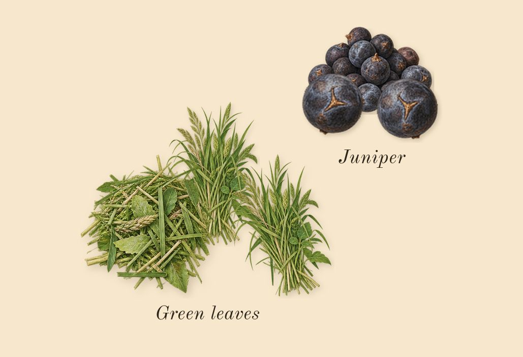 Baie 19, top notes: Juniper, Green leaves