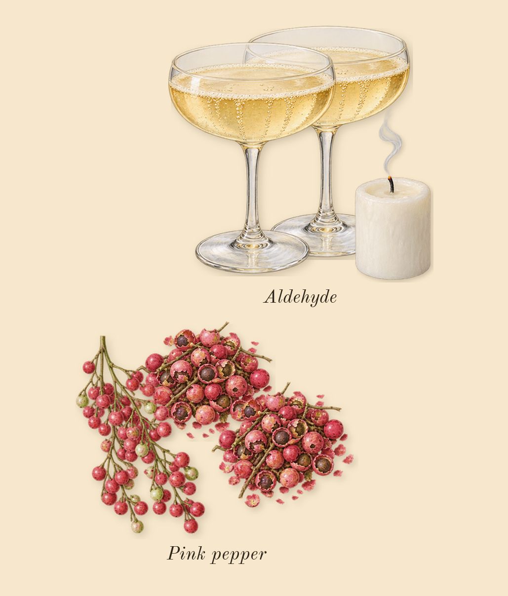 Baie Rose 26, top notes: Pink pepper, Aldehyde