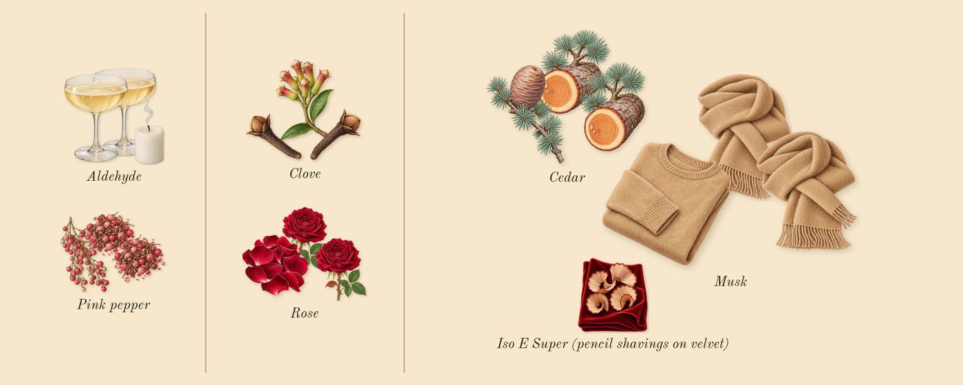 Baie Rose 26’s scent picture, a draft: pink pepper, aldehyde, musk, clove, cedar, rose drawn so far; dashed outlines where nothing is drawn yet