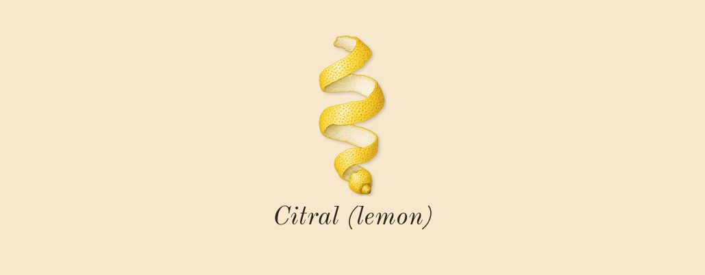 Benjoin 19, top notes: Citral (lemon)