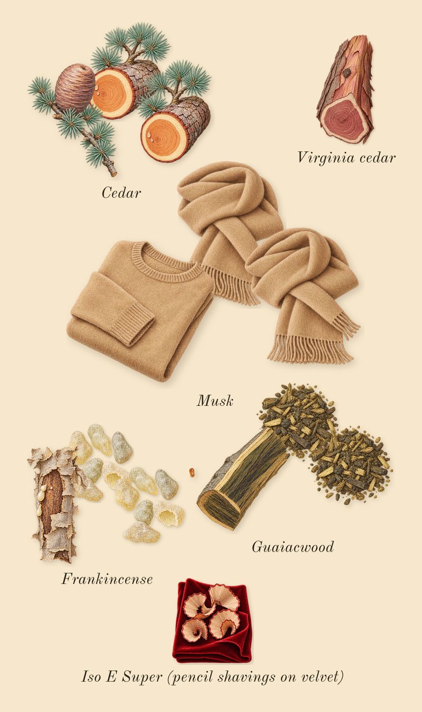 Gaïac 10, dry-down: Guaiacwood, Musk, Cedar, Frankincense, Virginia cedar, Iso E Super (pencil shavings on velvet)