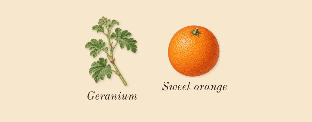 Iris 39, top notes: Sweet orange, Geranium