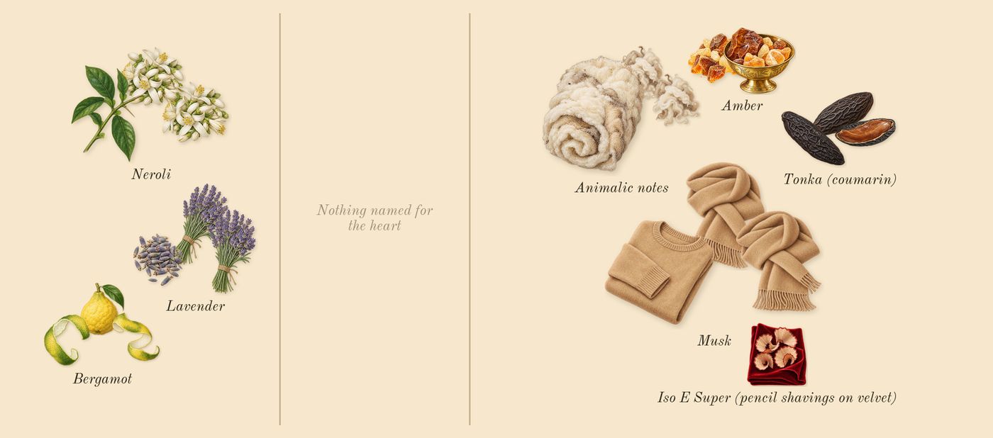 Lavande 31’s scent picture, a draft: bergamot, neroli, lavender, amber, animalic notes, musk drawn so far; dashed outlines where nothing is drawn yet