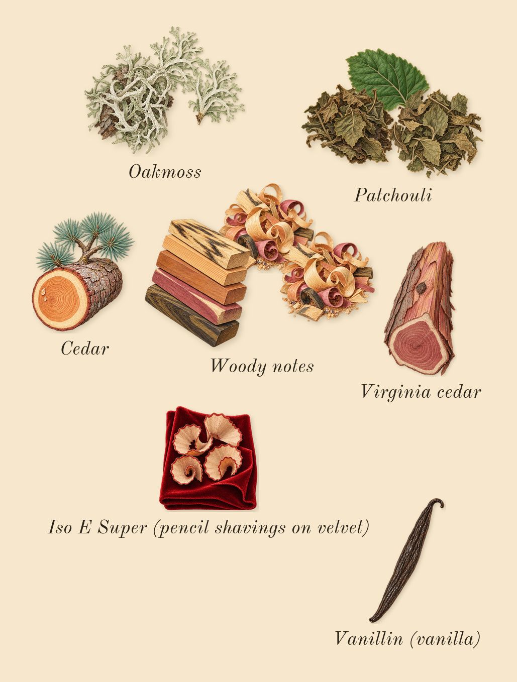 Mousse de Chêne 30, dry-down: Oakmoss, Patchouli, Woody notes, Cedar, Virginia cedar, Iso E Super (pencil shavings on velvet), Vanillin (vanilla)