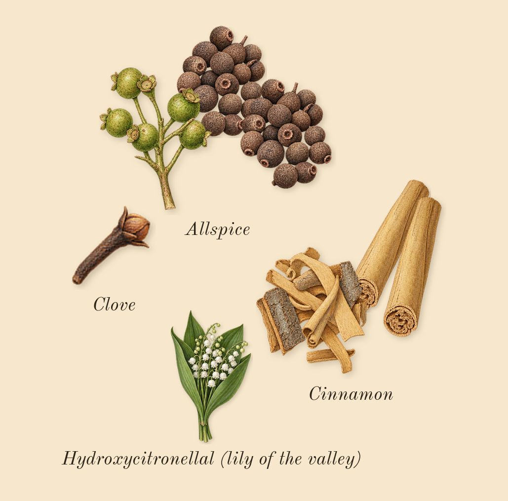 Mousse de Chêne 30, heart: Cinnamon, Allspice, Clove, Hydroxycitronellal (lily of the valley)