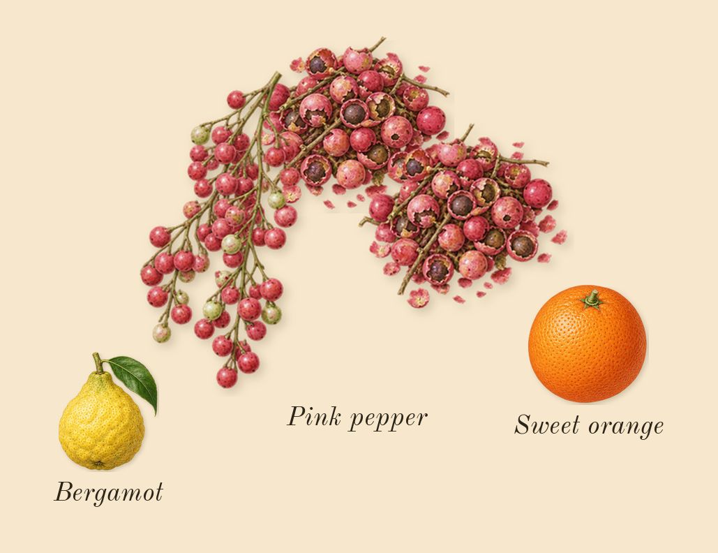 Mousse de Chêne 30, top notes: Pink pepper, Sweet orange, Bergamot