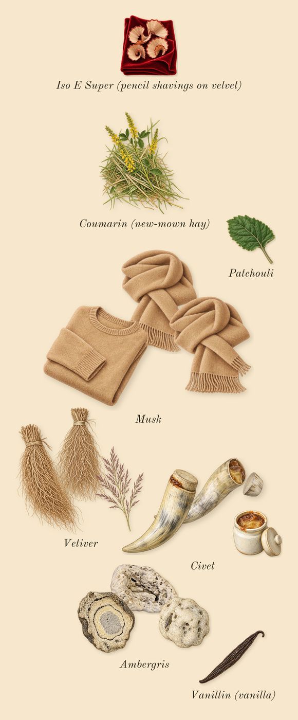 Musc 25, dry-down: Vetiver, Ambergris, Musk, Civet, Patchouli, Coumarin (new-mown hay), Vanillin (vanilla), Iso E Super (pencil shavings on velvet)