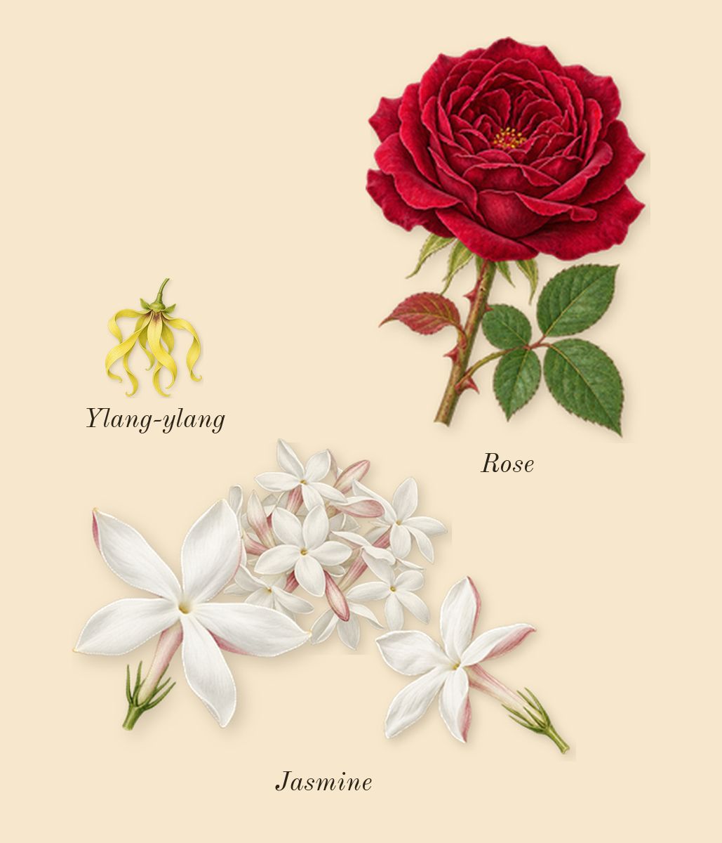 Myrrhe 55, heart: Jasmine, Ylang-ylang, Rose