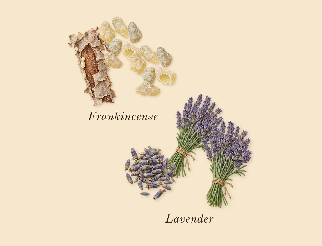 Osmanthus 19, top notes: Frankincense, Lavender