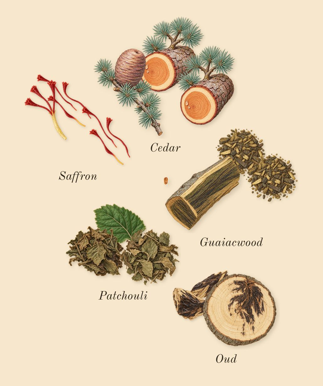 Oud 27, dry-down: Oud, Cedar, Patchouli, Saffron, Guaiacwood
